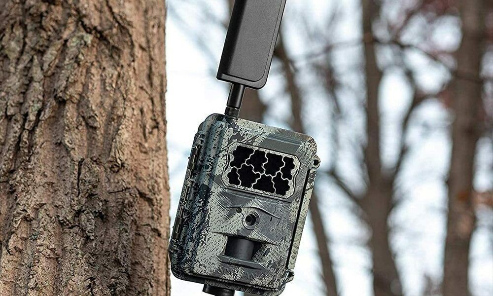 Best Wireless Trail Camera